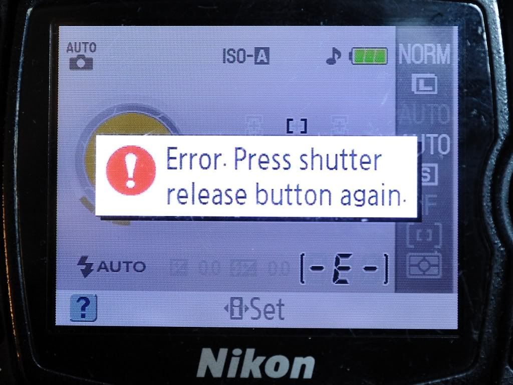 NIKON D40x D3000 D3100 D5000 D5100 D60 Error Press Shutter Release