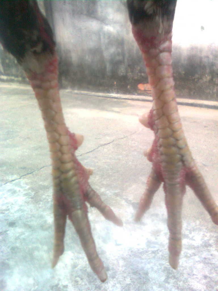 Hnhnh0134.jpg Hnhnh0134.jpg