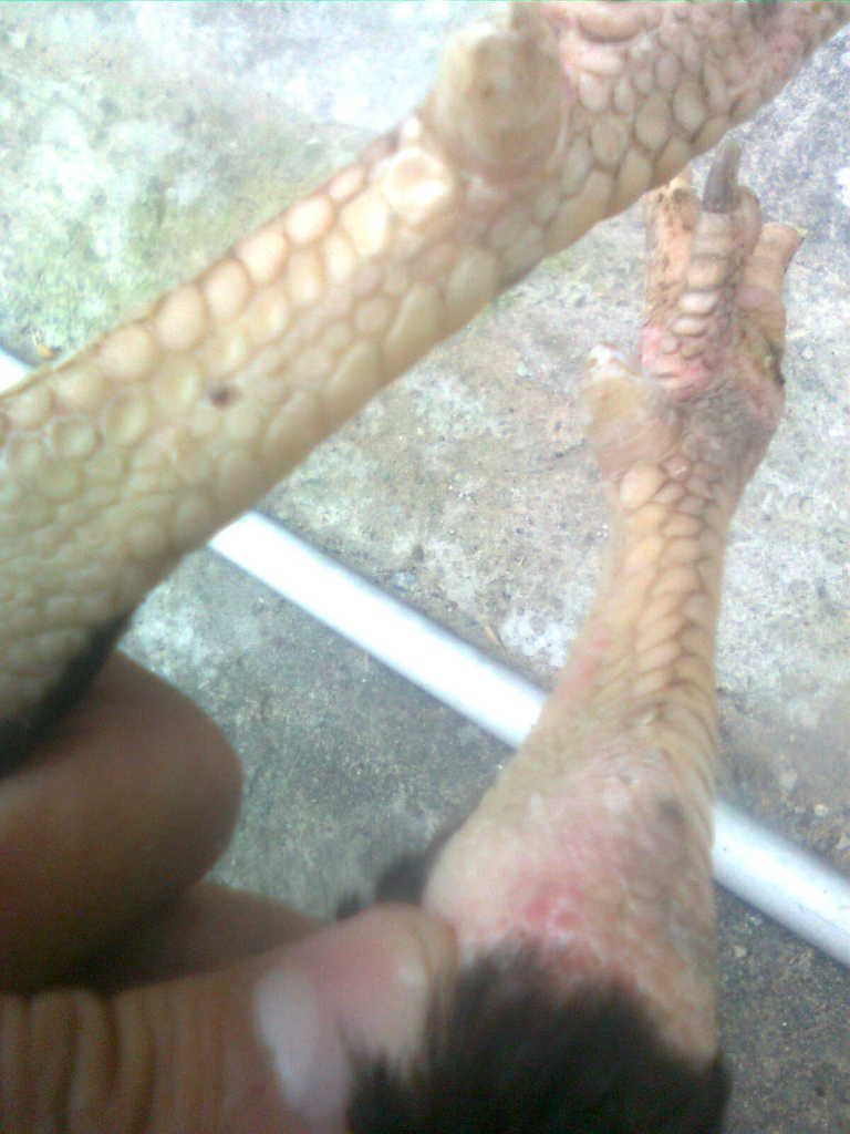 Hnhnh0140.jpg Hnhnh0140.jpg