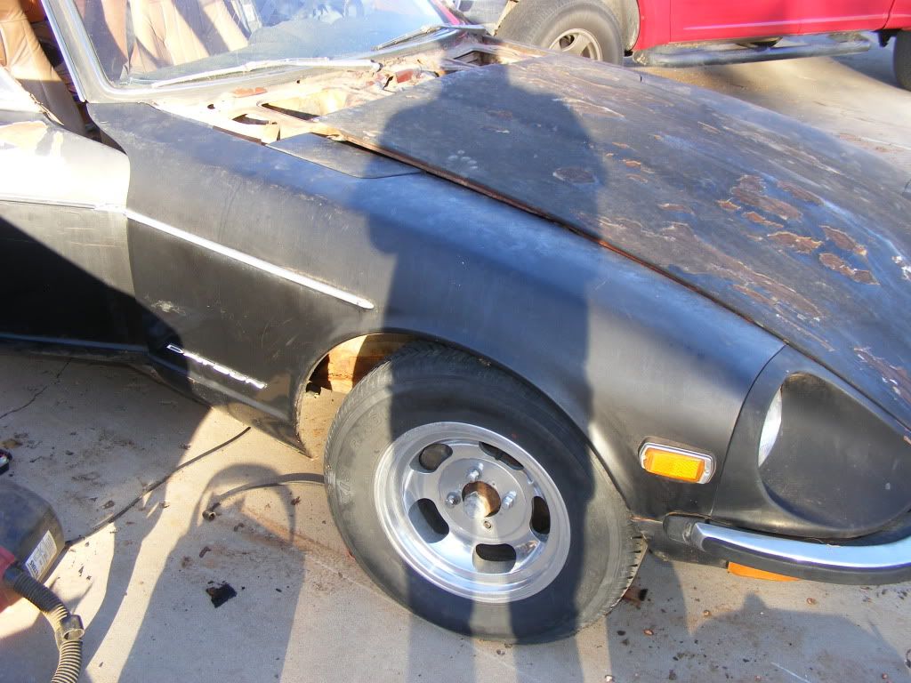 DSCF2085.jpg?t=1290669260