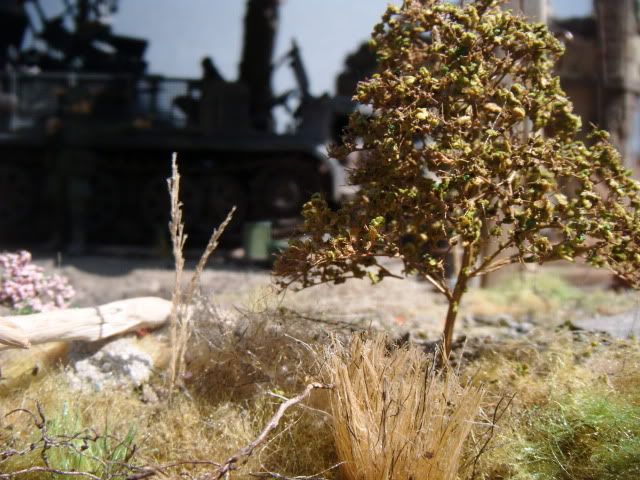 2010_0128lakevrnwy0175.jpg