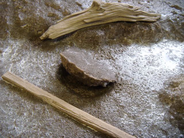 2010_0508lakevrnwy0050.jpg