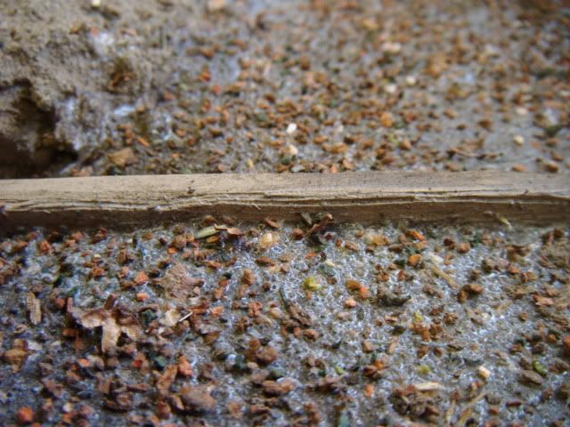 2010_0508lakevrnwy0056.jpg