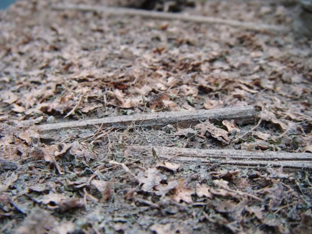 2010_0511lakevrnwy0001.jpg