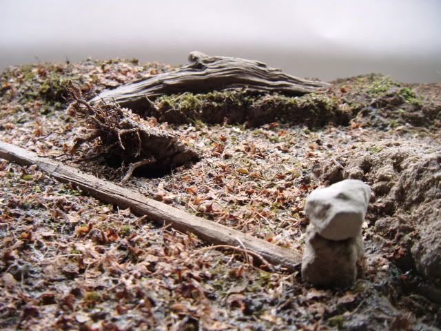 2010_0511lakevrnwy0046.jpg