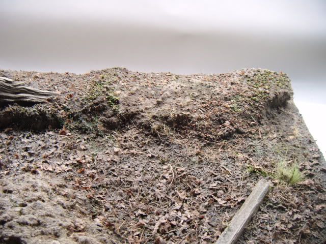 2010_0514lakevrnwy0038.jpg