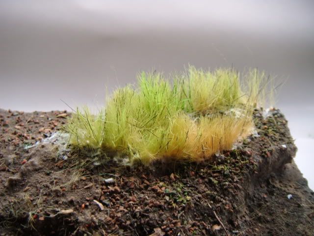 2010_0514lakevrnwy0041.jpg