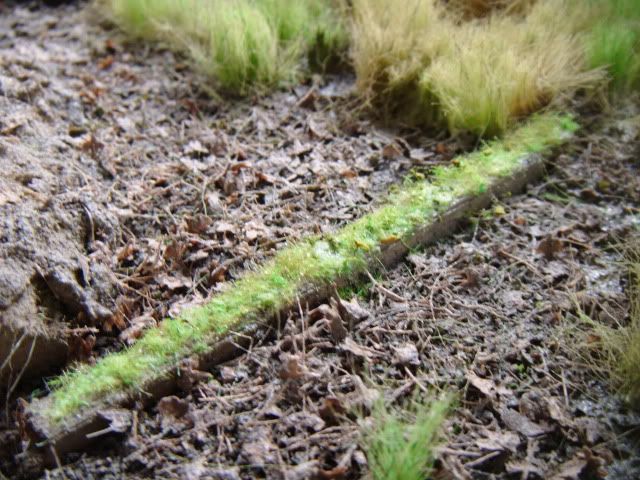2010_0514lakevrnwy0072.jpg
