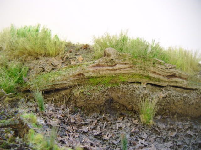 2010_0514lakevrnwy0082.jpg