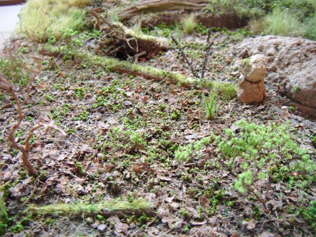 2010_0716lakevrnwy0001.jpg