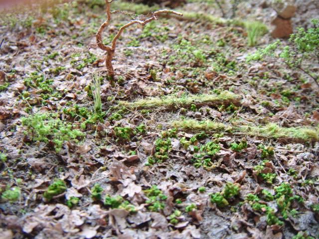 2010_0716lakevrnwy0002.jpg