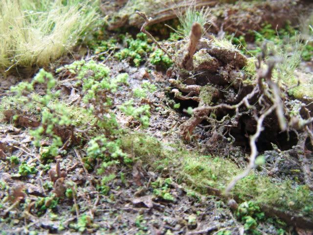 2010_0716lakevrnwy0026.jpg