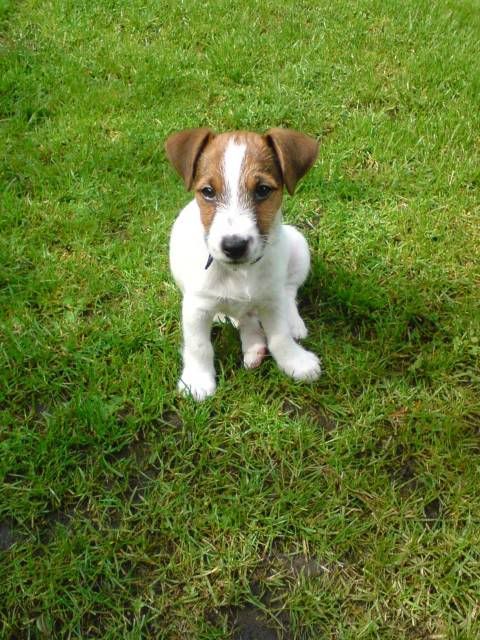 BENSON017.jpg
