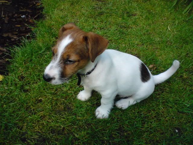 BENSON028.jpg