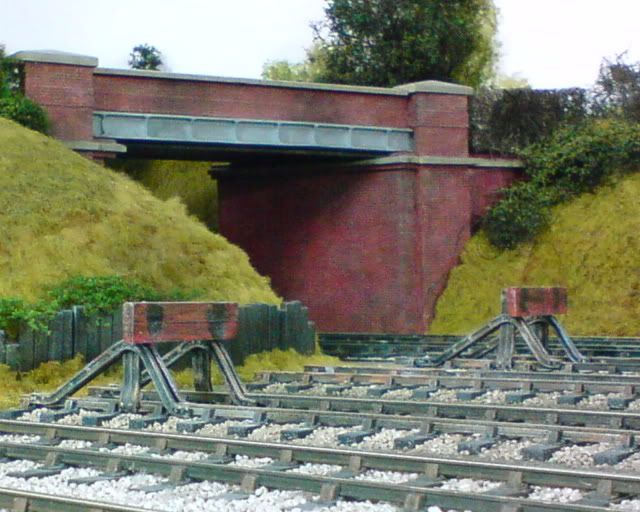 DSC00111.jpg