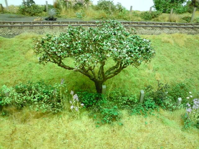 DSC00452-1.jpg