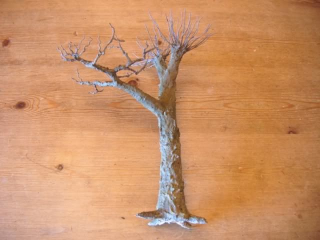 PHOTO10.jpg
