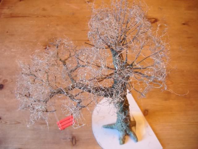 PHOTO14.jpg