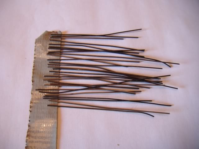 PHOTO8c.jpg
