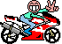 icon_bike.gif