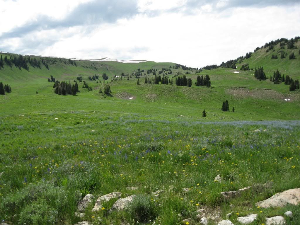 Uinta7-11-09013.jpg