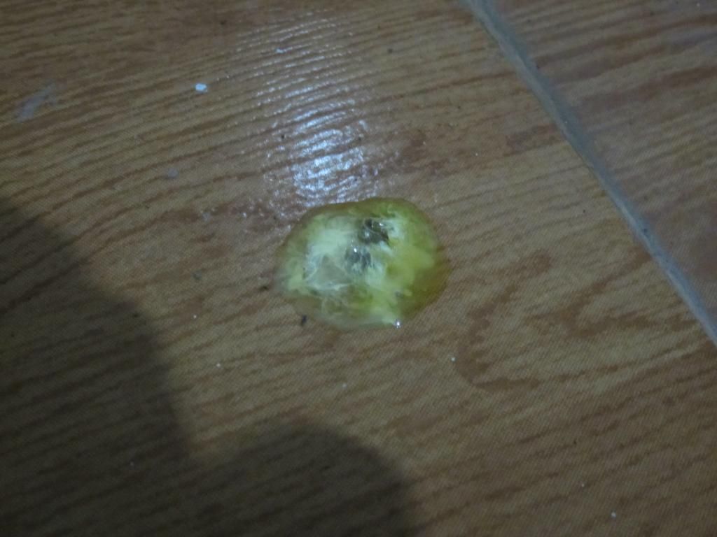 Sau khi 1000 gà đã chính thức ra đi hết sạch, hôm nay thêm 3000 gà ra đi