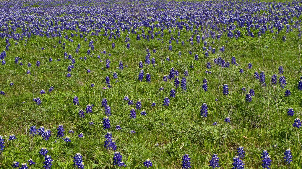 IMAGE: http://i602.photobucket.com/albums/tt108/ardeekay/IMG_0633_edited-1.jpg