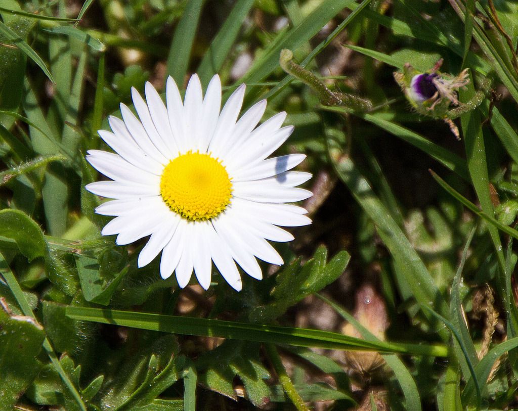 IMAGE: http://i602.photobucket.com/albums/tt108/ardeekay/IMG_0694_edited-1.jpg