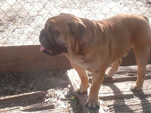 OTIS