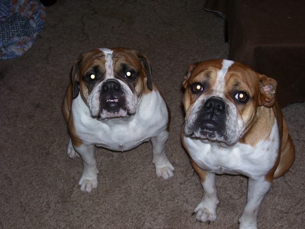 myah and kenzie