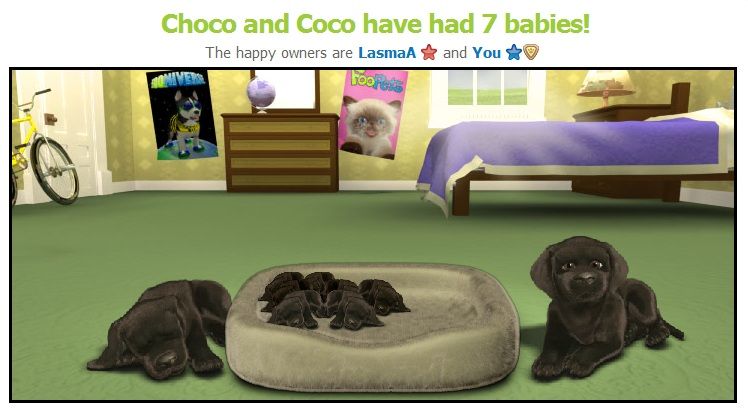 Choco and Coco newborn