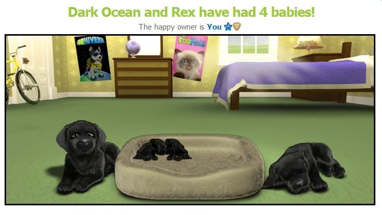 Rex and Dark Ocean litter