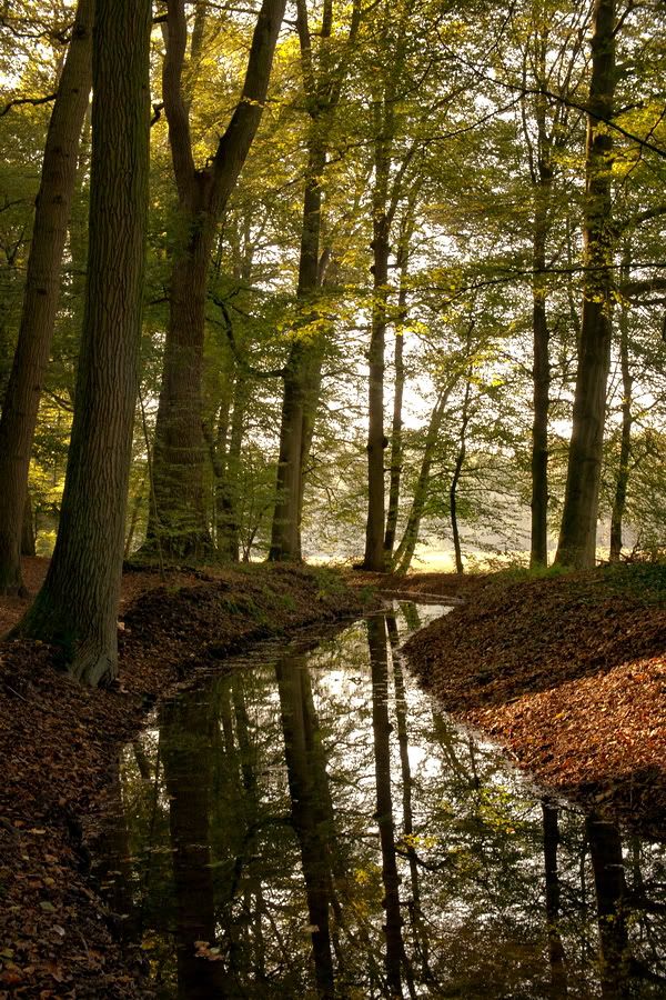 Fotografie