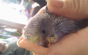 baby1.jpg