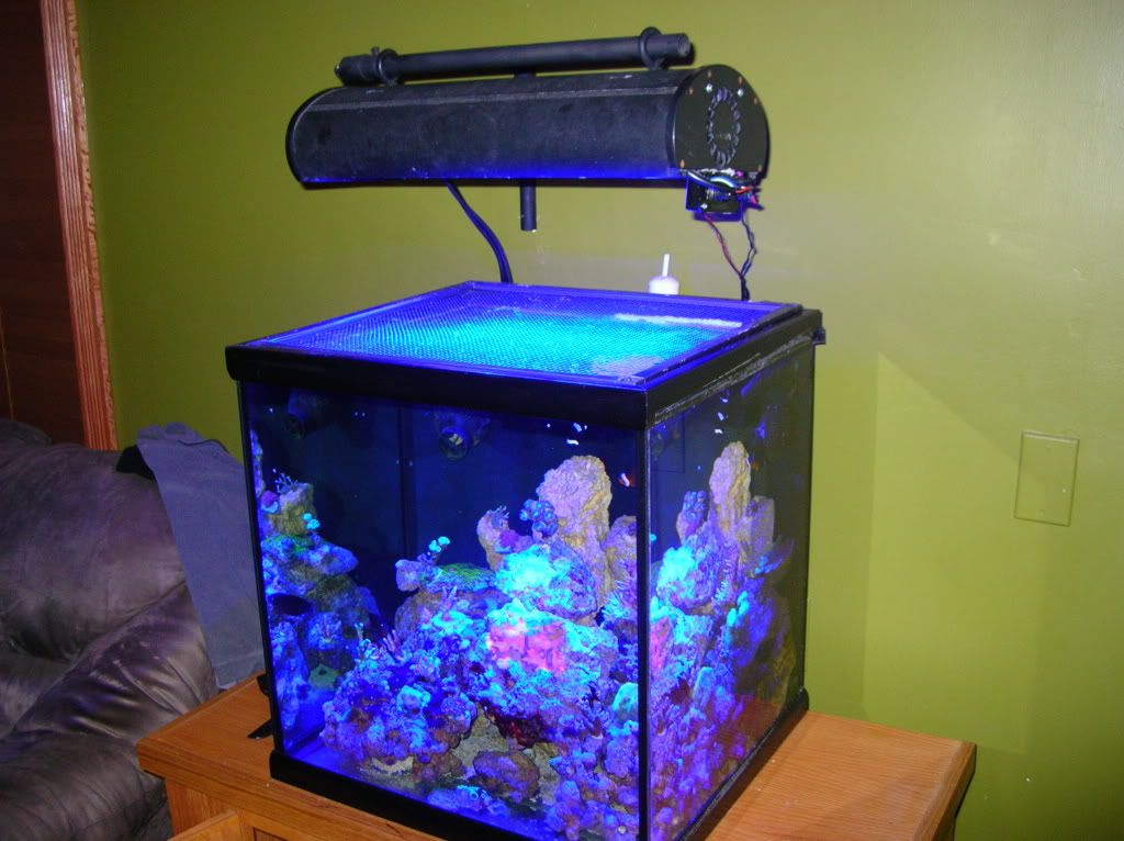 My diy light hanging bracket. Reef Central Online Community