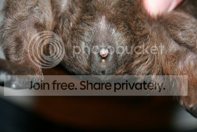 IMG_1031Copy.jpg