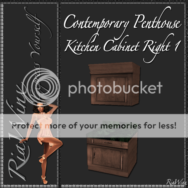  photo CPKitchenCabinetR1_zpsc901f948.png